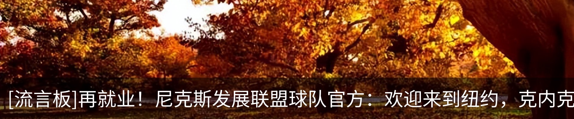 资讯中心